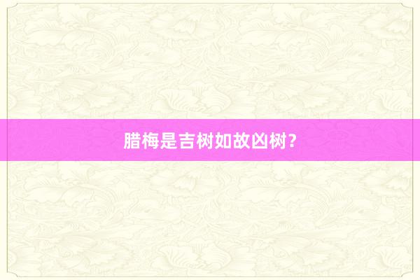 腊梅是吉树如故凶树？